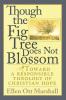 Though the Fig Tree Does Not Blossom: Toward a Responsible Theology of Christian Hope