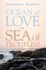 Ocean of Love or Sea of Troubles?: Can We Find God in a Suffering World?