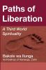 Paths of Liberation: A Third World Spirituality