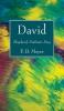 David: Shepherd Psalmist King