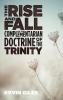 The Rise and Fall of the Complementarian Doctrine of the Trinity