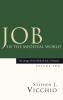 Job in the Medieval World: 2 (Image of the Biblical Job: A History)