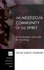 The Mestizo/A Community of the Spirit: A Postmodern Latino/A Ecclesiology: 105 (Princeton Theological Monograph)