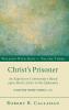 Christ's Prisoner: An Expository Commentary Based Upon Paul's Letter to the Ephesians: 3 (Walking with Jesus)