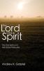 The Lord Is the Spirit: The Holy Spirit and the Divine Attributes