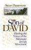 Son of David: Healing the Vision of the Messianic Jewish Movement