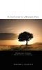 In the Light of a Blessed Tree: Illuminations of Islamic Belief Practice and History