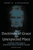 The Doctrines of Grace in an Unexpected Place: Calvinistic Soteriology in Nineteenth-Century Brethren Thought