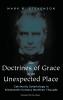 The Doctrines of Grace in an Unexpected Place: Calvinistic Soteriology in Nineteenth-Century Brethren Thought