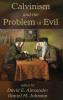 Calvinism and the Problem of Evil