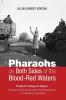 Pharaohs on Both Sides of the Blood-Red Waters: Prophetic Critique on Empire: Resistance Justice and the Power of the Hopeful Sizwe--A Transatlantic Conversation