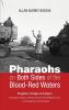 Pharaohs on Both Sides of the Blood-Red Waters: Prophetic Critique on Empire: Resistance Justice and the Power of the Hopeful Sizwe--A Transatlantic Conversation