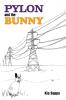 Pylon and the Bunny