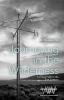 Journeying in the Wilderness: Forming Faith in the 21st Century (Word & World Book 7)