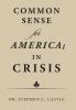 Common Sense for America; in Crisis