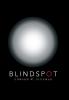 Blindspot