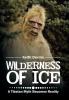 Wilderness of Ice