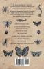 The Beetle and Butterfly Collection - A Guide to Collecting Arranging and Preserving Insects at Home