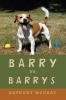 Barry Vs. Barrys