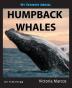 My Favorite Animal: Humpback Whales