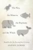 The Flea the Minnow the Elephant and the Whale: Parables for the Twenty-First Century