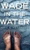 Wade in the Water: Following the Sacred Stream of Baptism