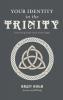 Your Identity in the Trinity: Discovering God's Grace in the Gospel