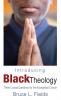 Introducing Black Theology: Three Crucial Questions for the Evangelical Church