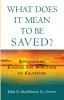 What Does it Mean to Be Saved?: Broadening Evangelical Horizons of Salvation