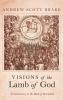 Visions of the Lamb of God: A Commentary on the Book of Revelation