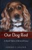 Our Dog Red: A Small Token of Remembrance