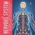 The Nervous System Is the Body's Central Control Unit Body Organs Book Grade 4 Children's Anatomy Books