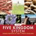 The Five Kingdom System Biological Classification for Grade 5 Children's Biology Books