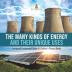 The Many Kinds of Energy and Their Unique Uses Energy and Environment Grade 4 Children's Physics Books