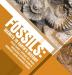 Fossils: Secrets to Earth's History Fossil Guide Geology for Teens Interactive Science Grade 8 Children's Earth Sciences Books