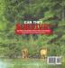 Can They Survive?: How Plants and Animals Thrive In Their Environments Biology Diversity of Life Grade 4 Children's Biology Books