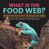 What Is the Food Web? Understanding Energy Transfers From One Organism to Another Science for Grade 2 Children's Science & Nature Books