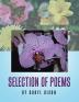 Selection of Poems by Daryl Rixon