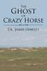 The Ghost of Crazy Horse