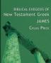 Biblical Exegesis of New Testament Greek: James