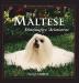 The Maltese: Diminutive Aristocrat (Howell Best of Breed)