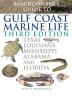 Beachcomber's Guide to Gulf Coast Marine Life