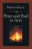 Peter and Paul in Acts: A Comparison of Their Ministries