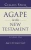 Agape in the New Testament Volume 1: Agape in the Synoptic Gospels