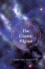 The Cosmic Pilgrim: A Spiritual Exploration of the New Story of Science and Religion