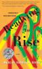 Readying to Rise: Essays