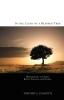 In the Light of a Blessed Tree: Illuminations of Islamic Belief Practice and History