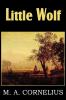 Little Wolf a Tale of the Western Frontier