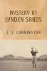 Mystery at Lynden Sands