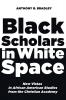 Black Scholars in White Space: New Vistas in African American Studies from the Christian Academy